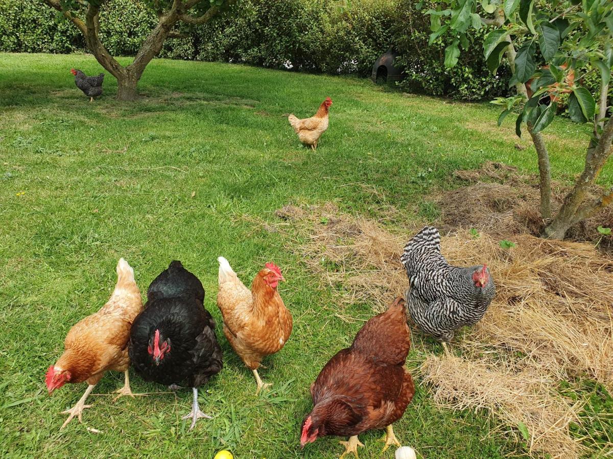 Supplejack Gardens Villa Upper Moutere Bagian luar foto